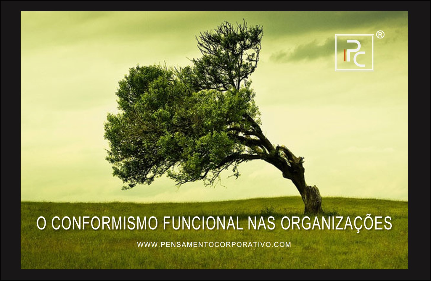 CONFORMISMO FUNCIONAL 2022